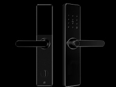 青松沃德-Wi-Fi 指紋鎖家用防盜門智能門鎖密碼鎖刷卡電子鎖 防磁干擾 防撬 L9-WT (不含鎖體，鎖體需另購(gòu)）